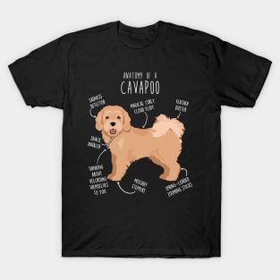 Cavapoo Dog Anatomy T-Shirt